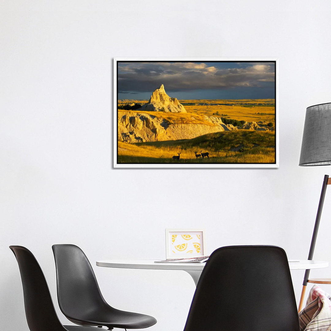 Mule Deer Trio In The Grasslands Of Badlands National Park, South Dakota von Tim Fitzharris - Gallery-Wrapped Canvas Gic...