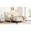 Cadre de grand lit, couleur beige - solide, stable, sans sommier, avec pieds antidérapants et cadre de chambre à coucher avec rangement-1759016105