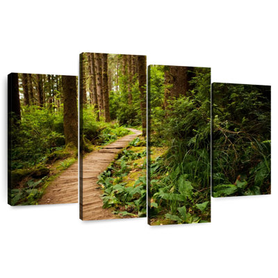 Sentier de randonnée Alvord Redwoods