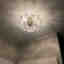 Photos des clients 3 de 3