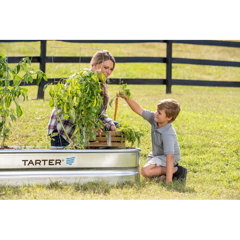 Oval Painted Steel Raised Garden Bed Planter, 12" H x 72" W x 24" D