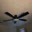Customer photo 2 of 2