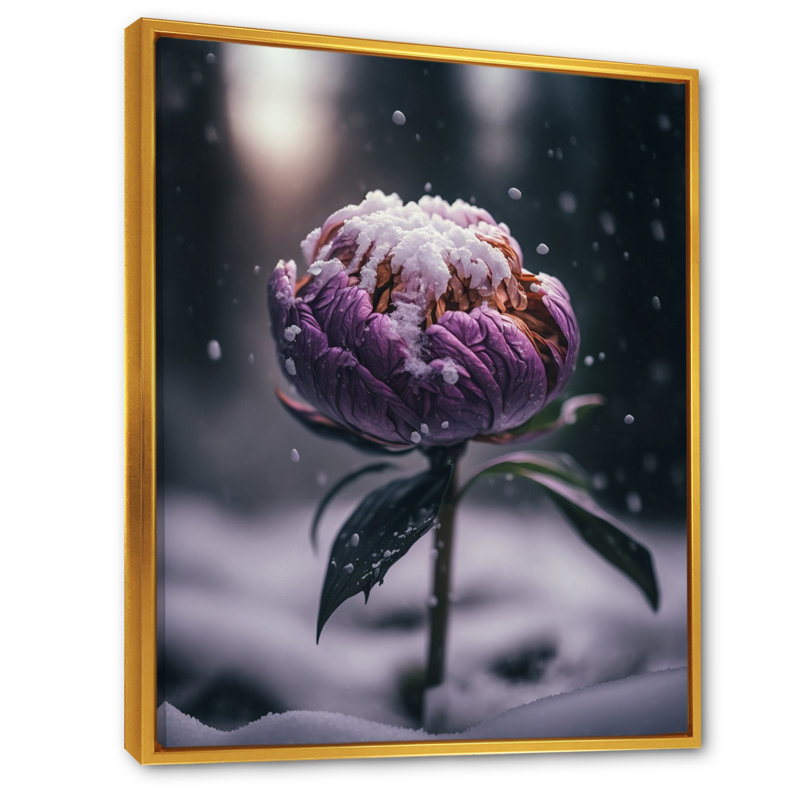 Une fleur de pivoine en hiver III - photographie sur toile, H 40 po x l 30 po x P 1,5 po, Toile avec cadre flottant or