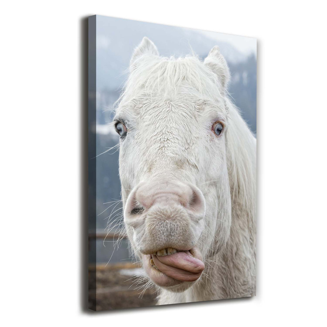 Crazy White Horse - Kunstdrucke auf Leinwand - Wrapped Canvas