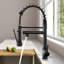 HGN Kitchen Faucet-100477274