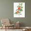 Redoute, Pierre Joseph, art sur toile: Rosa majalis, rose simple, Rosa Cinnamomea flore simplici-803465867