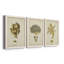 Écru corail X - ensemble de 3 peintures sur toile encadrées-143796230-143796225