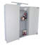 600 mm W 766 mm H Surface Mirrored Bathroom Cabinets 2 Adjustable Shelves with Mirror