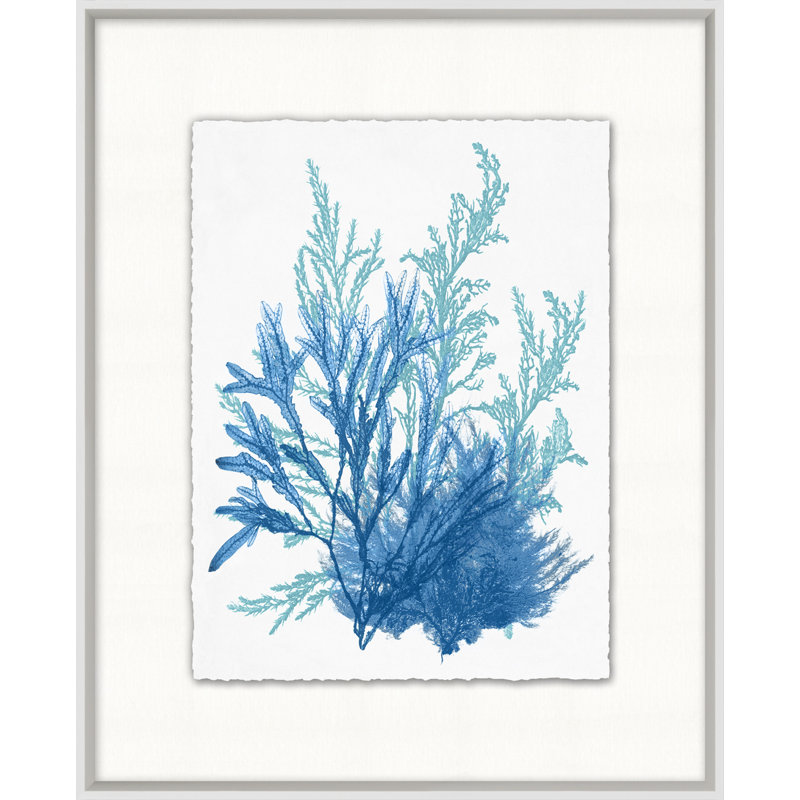 «Azure Ocean Herbarium», impression encadrée sur verre 9 pi