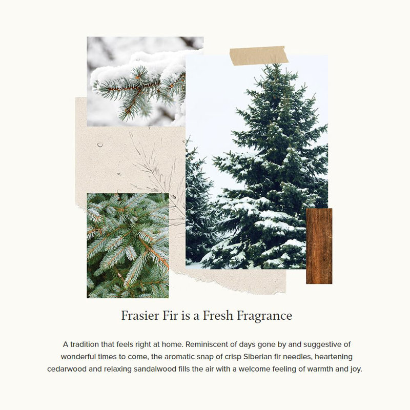 Thymes Frasier Fir Silver Scented 3-Wick Candle