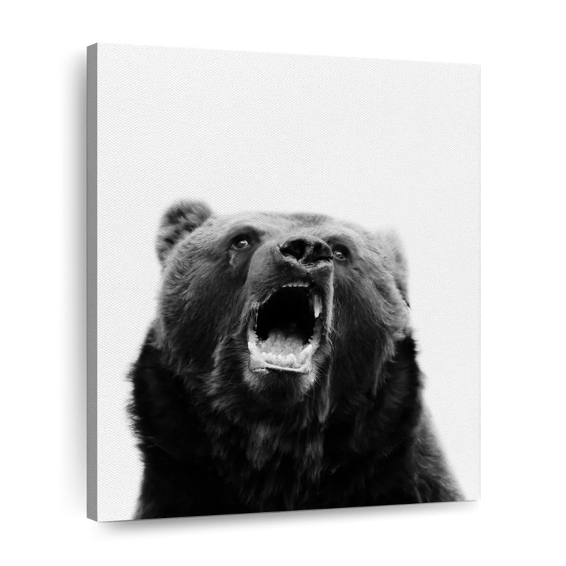 «Snarling Grizzly Bear» sur toile, H 8 po x l 10 po x P 1 po