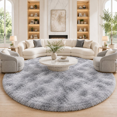 Ebern Designs Soft Fluffy Tie-Dyed Light Grey Shag Area Rug for Living Room Bedroom Nursery Kids Room