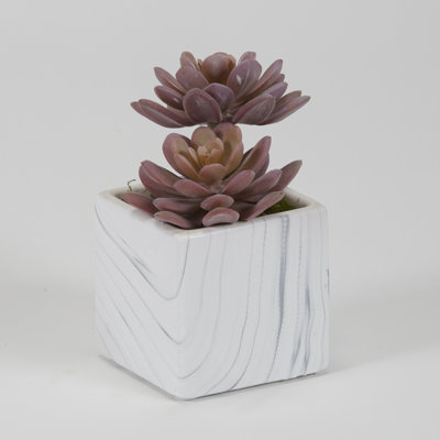 Mini cube rose en céramique Echeveria