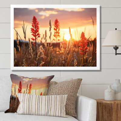 " Wildflowers Field With Sunset "