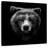Brampt Grizzly Bear Face-109394797