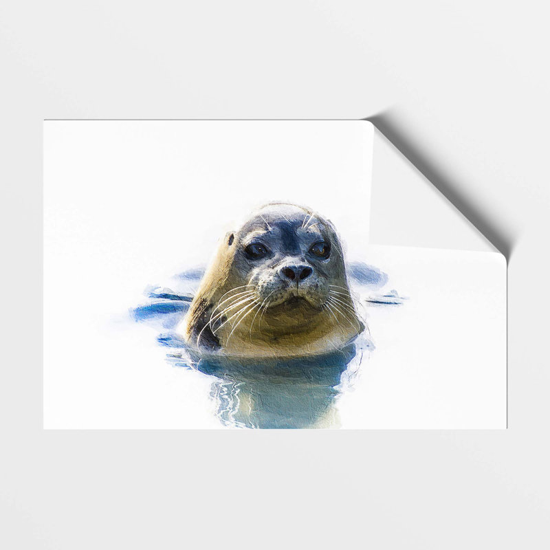 Grey Seal - Frameless Print, 21 cm H x 29.7 cm W