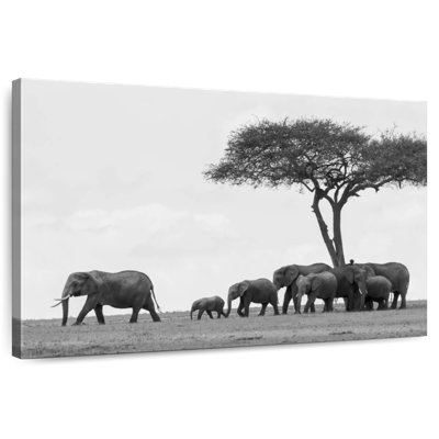 Brampt Grazing African Elephants