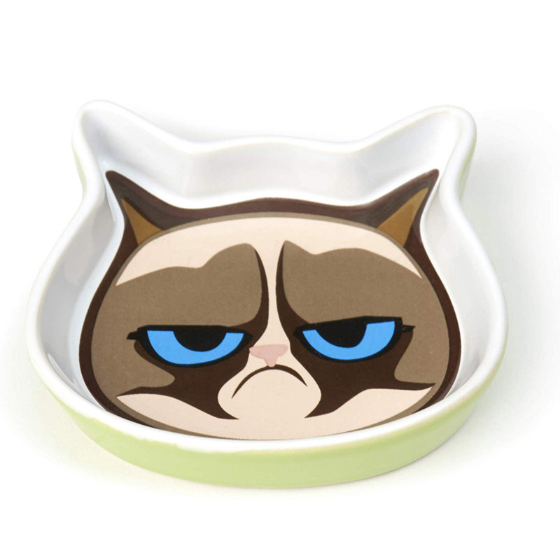 Bol facial pour chat grumpy, Vert
