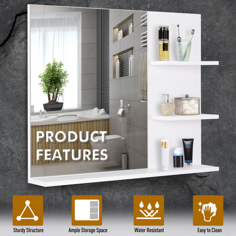 Aoifee Wall Mirror with Shelves