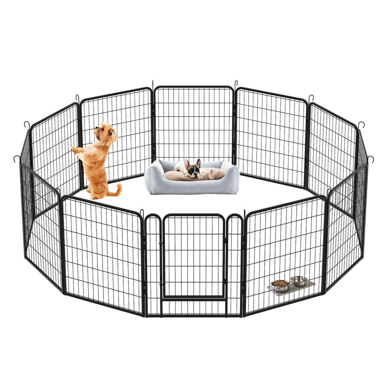 Enclos d'exercice extérieur pour chien avec parc en métal de 31,7 po de hauteur, porte, fer rouille, verrouillage automatique par gravité, formes polyvalentes, protection de plancher pour animaux de compagnie robuste et verrouillage