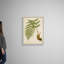 Art mural sur toile Fern Trio III-221299476-221299477