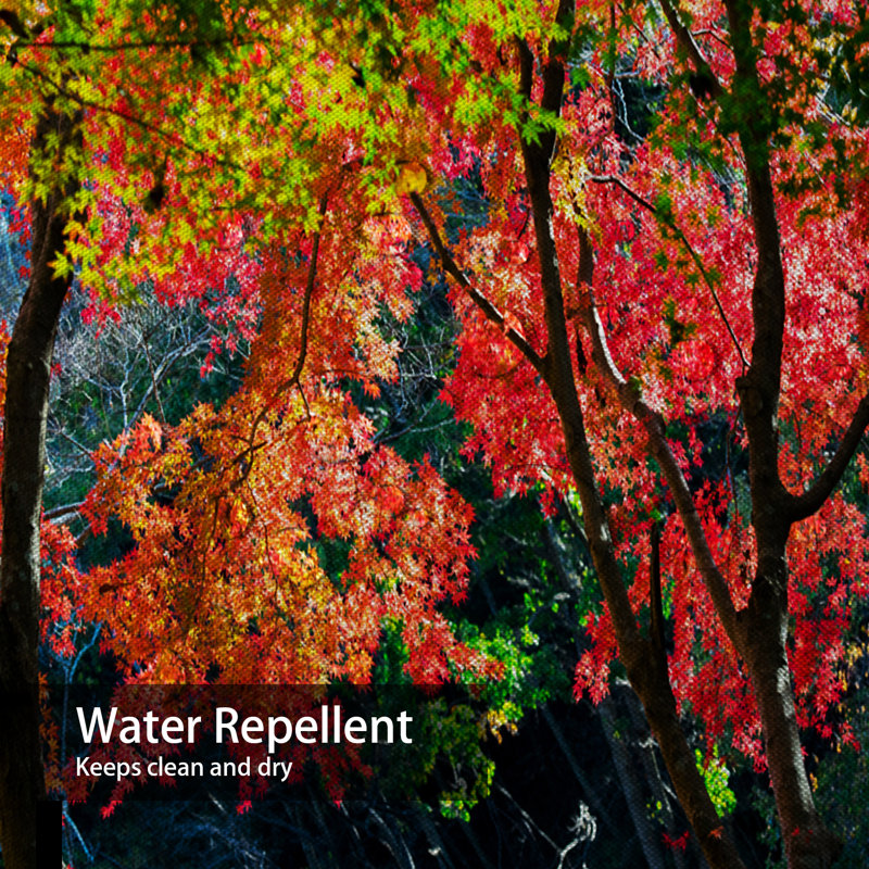 Rideau de douche Bright Autumn, L 72 po x l 84 po