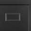 Buffet 31,4 po Aleiha-1489524519