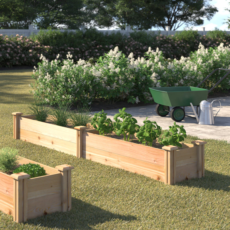 Kendriana Wood Raised Garden Bed, 11" H x 96" W x 16" D