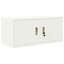 Storage Cabinet-232686061