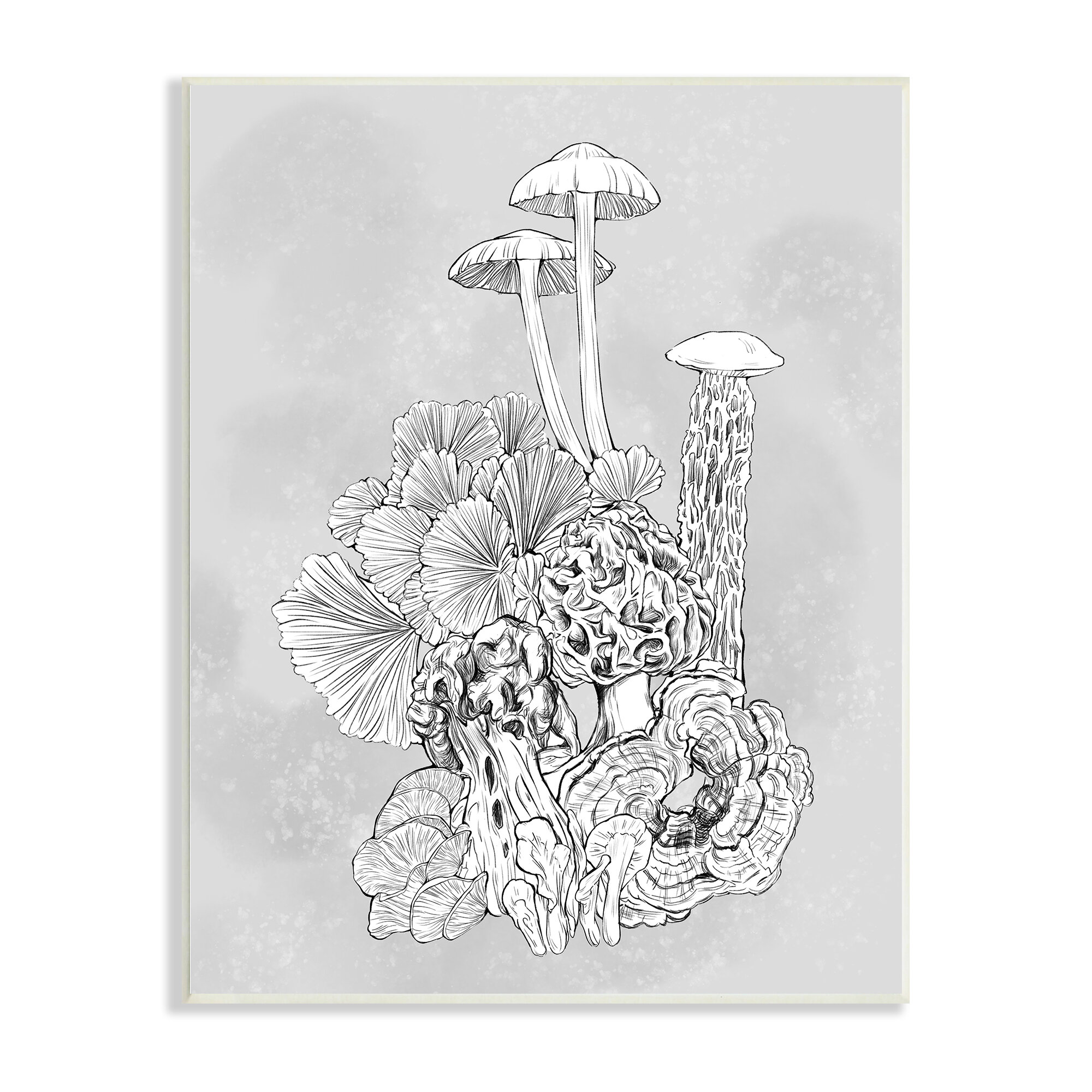https://assets.wfcdn.com/im/64468920/compr-r85/1960/196051732/detailed-botanical-drawing-mushroom-proliferate-plant-study-by-ziwei-li.jpg