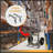 Stair Climber Cart Kit