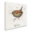 « wren », reproduction sur toile tendue-23099104