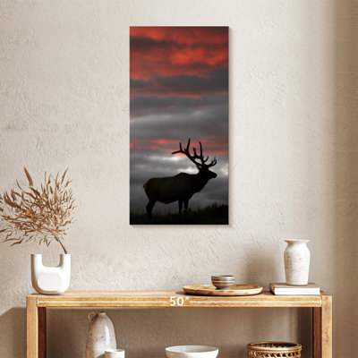 Coucher de soleil Elk Fiery