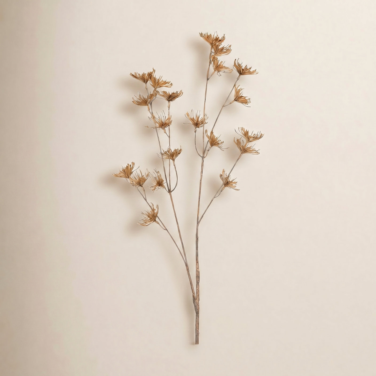 26" Anna Lace Branch