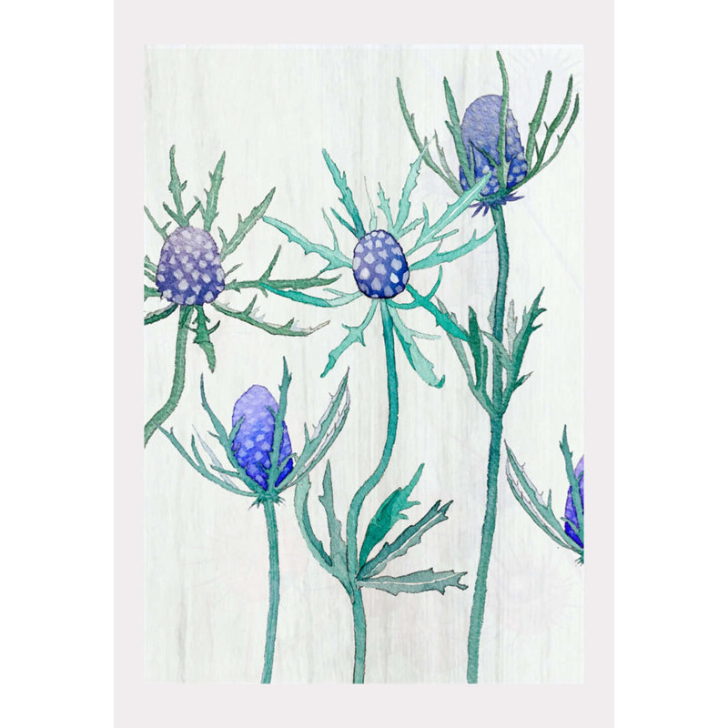 Reproduction d'art: chardon mauve, H 11 po x l 8,5 po x P 0,1 po, Mauve / vert / neige