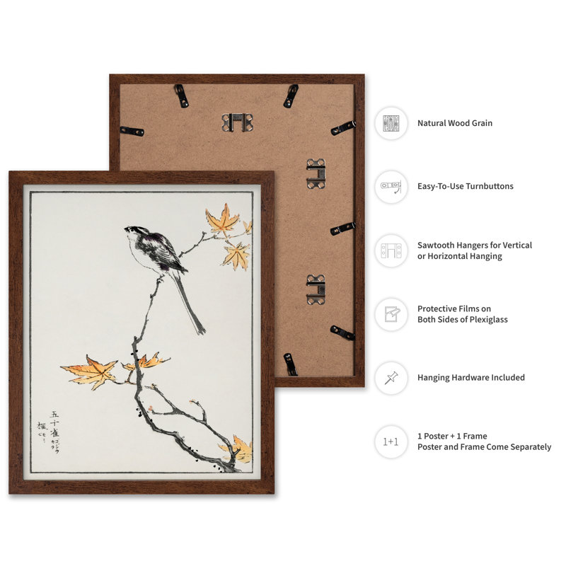 Mésange à longue queue et érable, Affiche, Brown Framed, 11"H x 14"W