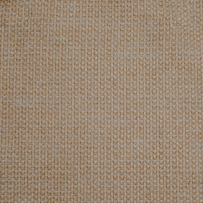 Katina Fabric