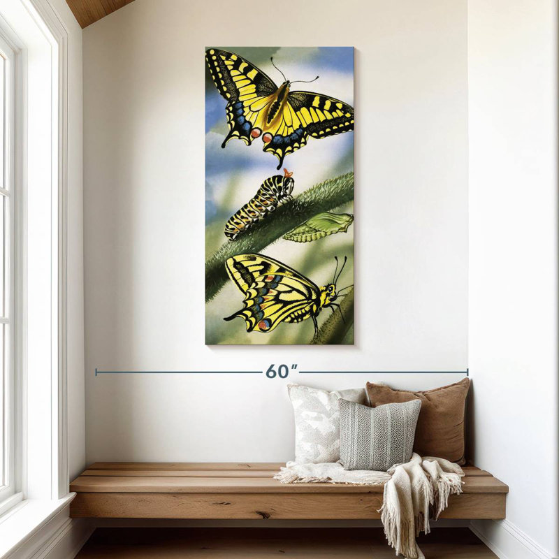 Papillons