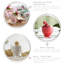 240ml Petit Glass Ice Cream Bowls - By LAV