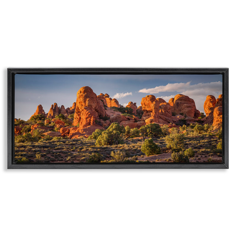 "Pointed Canyon Buttes" par Marty Hulsebos, H 11 po x l 25 po, Cadre flottant noir de jais