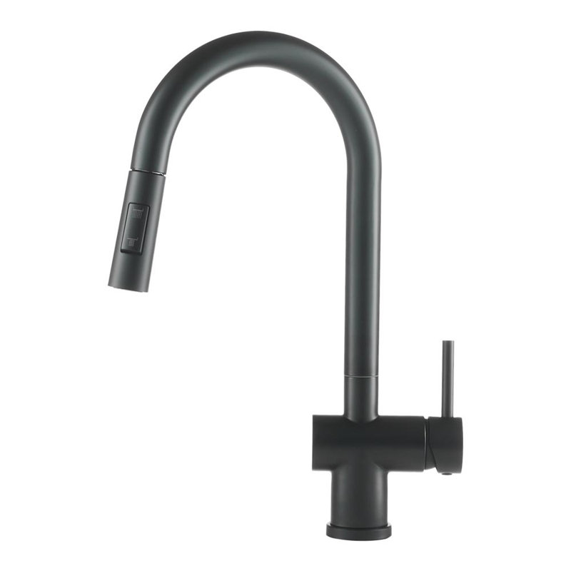 Belfry Kitchen Hockenberry Pull Out Kitchen Faucet