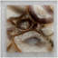 Art mural 23,6 x 23,6 po Remi Agate