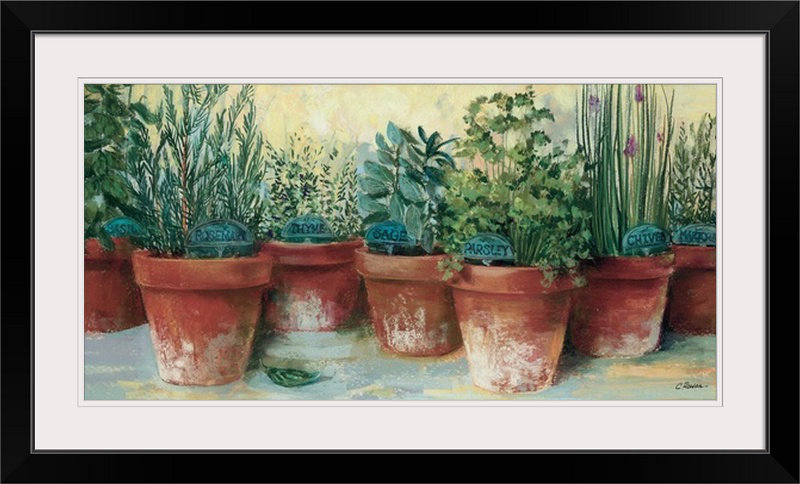 « ii » par carol rowan print Potted Herbs, Cadre noir, H 26 po x l 44 po x P 1 po