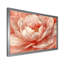 Pivoine rose rougissante - pivoines, art mural-1013951160-851518638