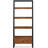 Zetzaf Ladder Bookcase