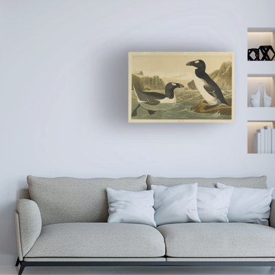 John James Audubon Great Auk, Printed By Julien Bien And Published By Roe Lockwood And Son, 1861 Canvas Art