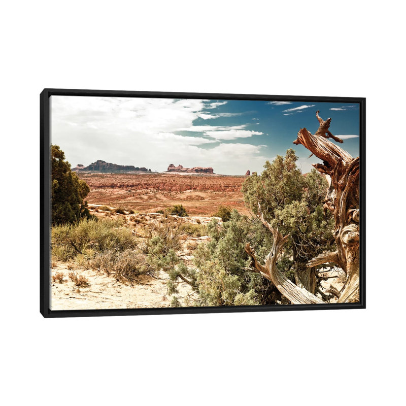 «Desert Nature» par Philippe Hugonnard - reproduction d'art sur toile tendue, H 18 po x l 26 po x P 1,5 po, Pas de tapis