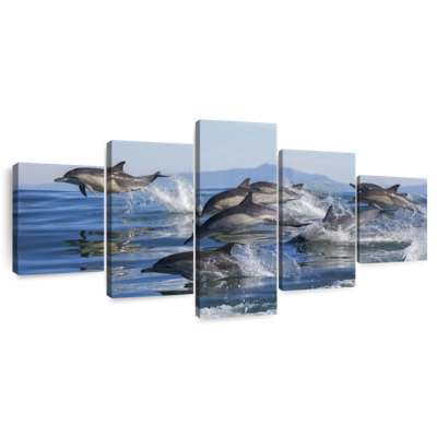 Dolphin Pod