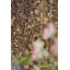Bambi Fabric-576594365