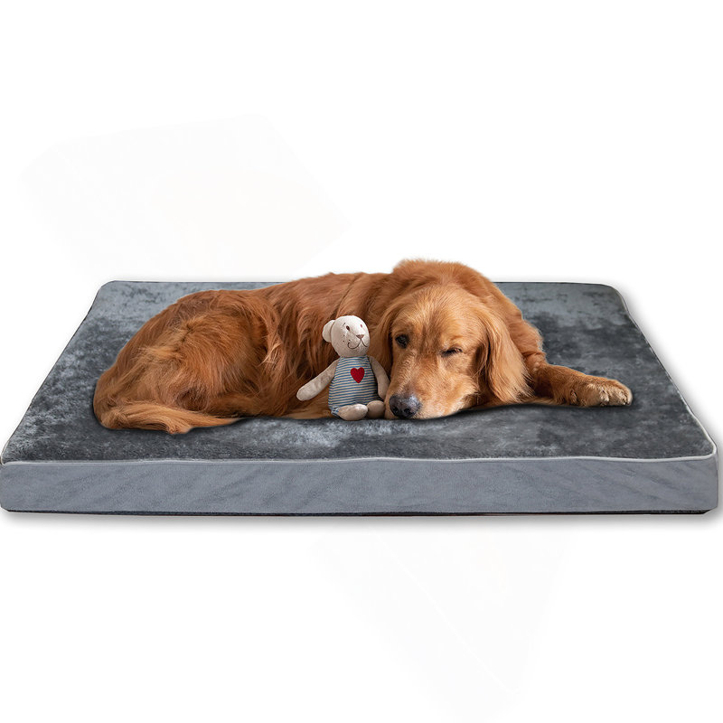 Lit orthopédique luxueux pour lit de chien Housse amovible et lavable à la machine pour lit de chien imperméable